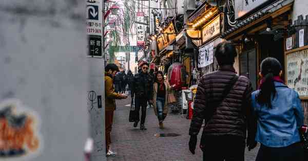 坚果加速器免费